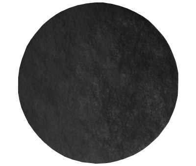 Préfiltres anti-odeurs (CleanAIR AerGO)